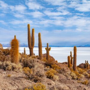diego-aguilar-JlLFykfuXcQ-unsplash diego-aguilar-JlLFykfuXcQ-unsplash