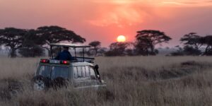 hu-chen-0LwfbRtQ-ac-unsplash hu-chen-0LwfbRtQ-ac-unsplash