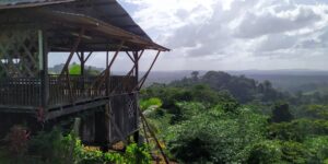 Small,House,In,Hmong,Village,In,French,Guiana Small,House,In,Hmong,Village,In,French,Guiana