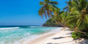Sunny,Beach,With,Palm,Trees,And,Turquoise,Sea,In,Jamaica Sunny,Beach,With,Palm,Trees,And,Turquoise,Sea,In,Jamaica